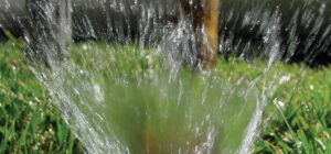 Spruce Up Your Irrigation